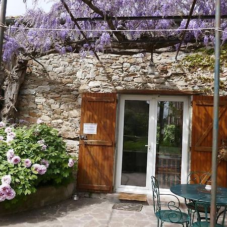 Gite Vigneron Félines-Minervois المظهر الخارجي الصورة